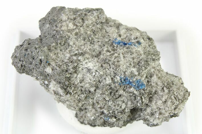 Vibrant Blue Hauyne with Sanidine and Augite - Germany #317198